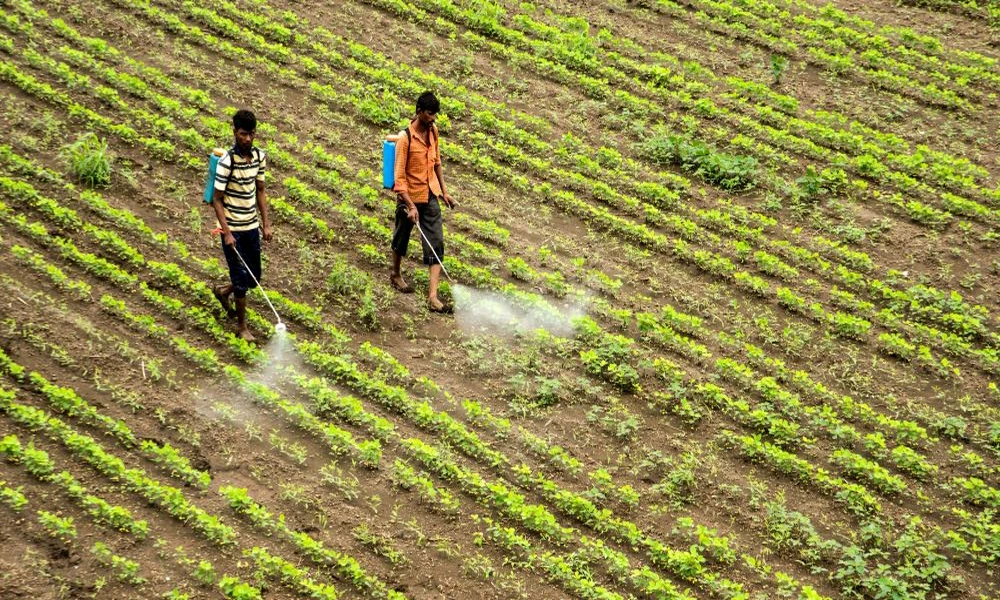 Sowing Prosperity: Why India’s Agrochemical and Fertiliser Sector Deserves a Place in Every Long-Term Equity Portfolio